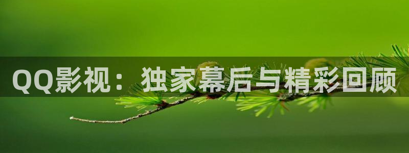 80天堂影院：QQ影视：独家幕后与精彩回顾